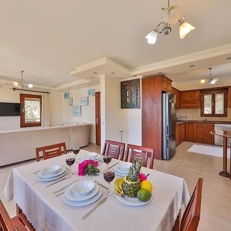 Sari - Luxury With Private Pool & Jacuzzi Villa Kaş
