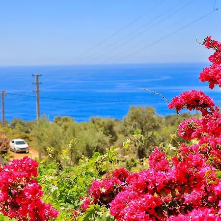 Sari - Luxury With Private Pool & Jacuzzi * Kaş