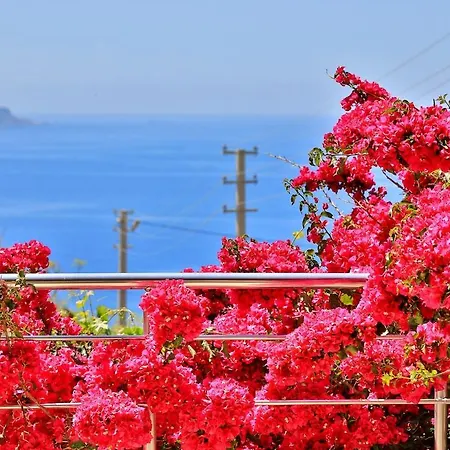 Sari - Luxury With Private Pool & Jacuzzi